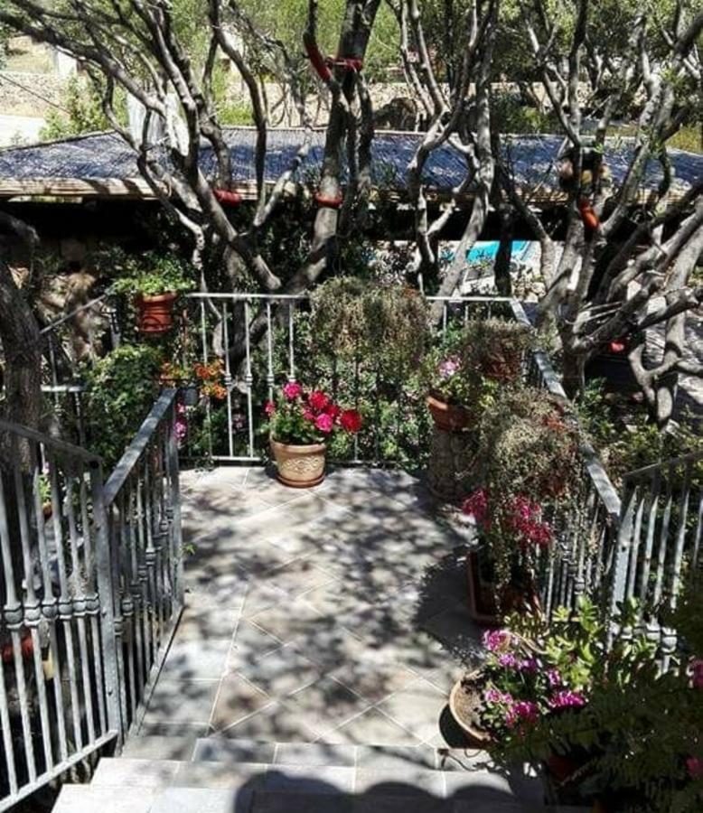 オルビア Antica Isola Bed & Breakfast エクステリア 写真